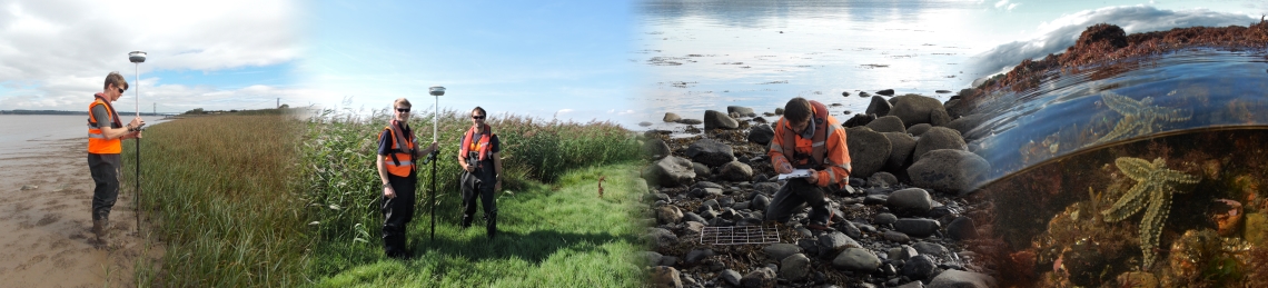 abpmer-wales-survey (1)