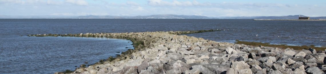 morecambe-bay-1140 (1).jpg