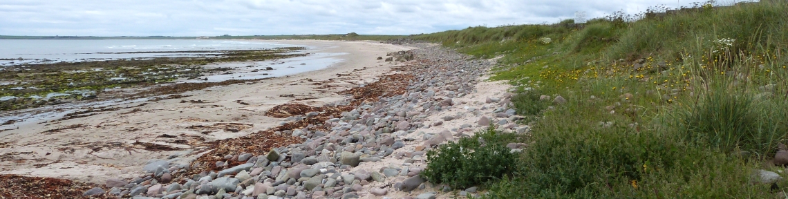 sinclairs-bay (1).jpg