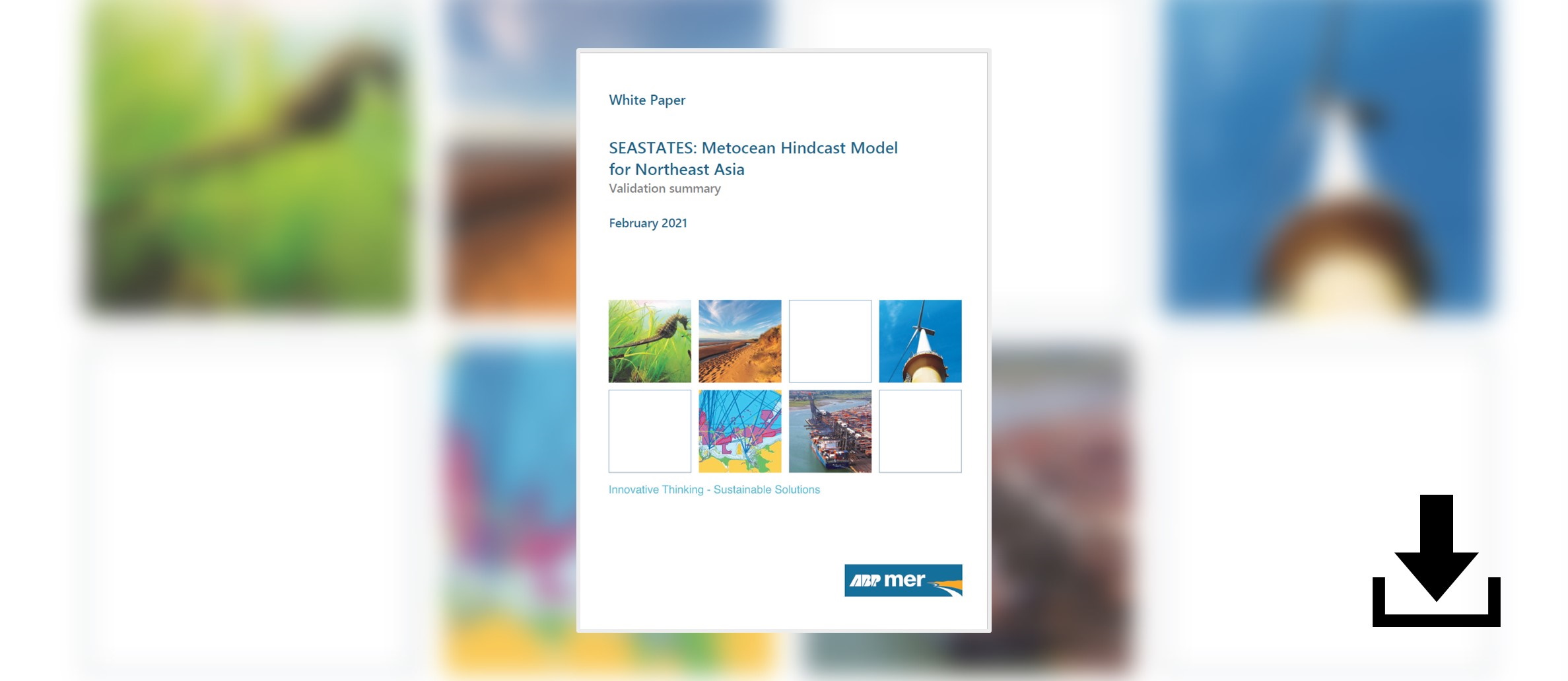 download-northeast-asia-hindcast-model