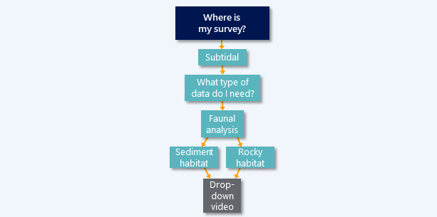 Drop-down video survey diagram