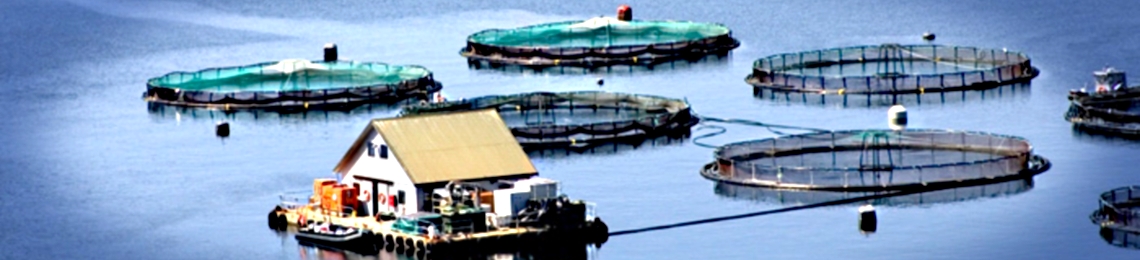 aquaculture-fishfarm.jpg