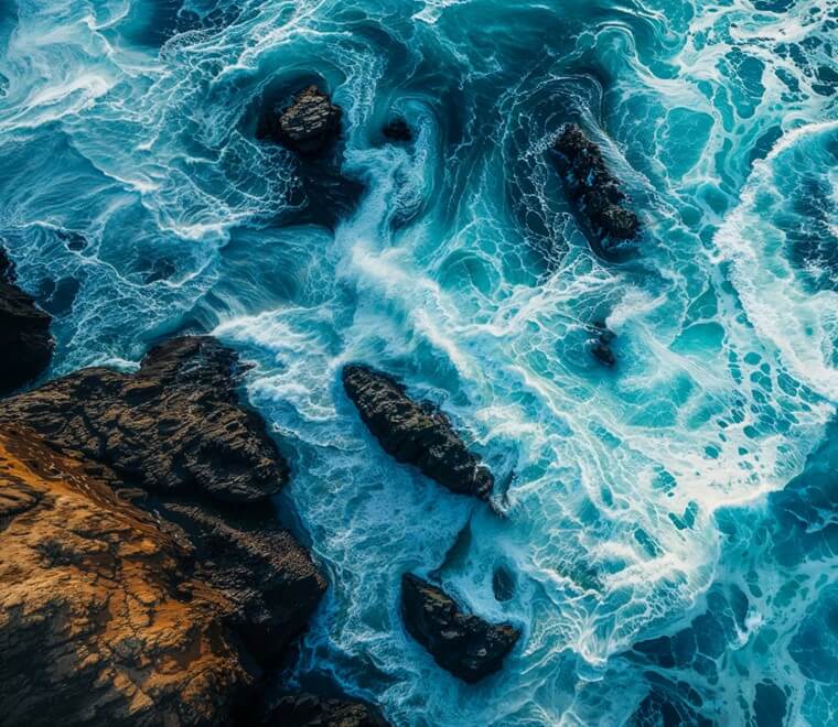 Tidal stream energy what is the impact on marine species