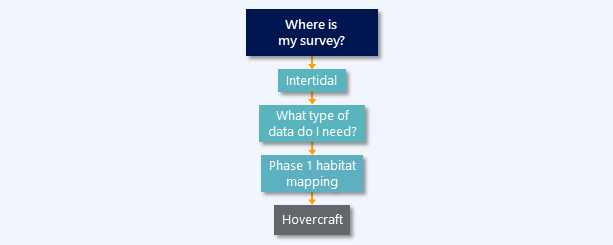 Hovercraft survey diagram