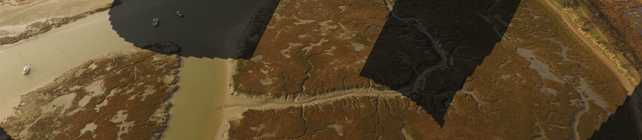 lymington-salt-marsh-adapted-c-solent-forum (1)