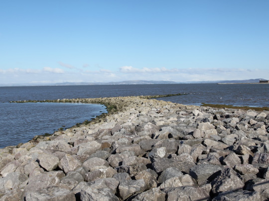 morecambe-bay-540x405.jpg