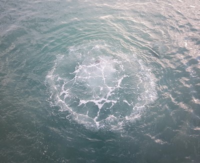 Water quality assessment for energy-from-waste facility outfall 