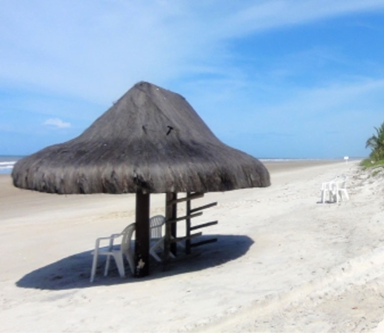 Evaluating a coastal protection scheme in Brazil