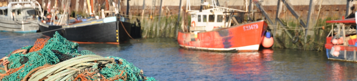 whitstable-fishery (3)