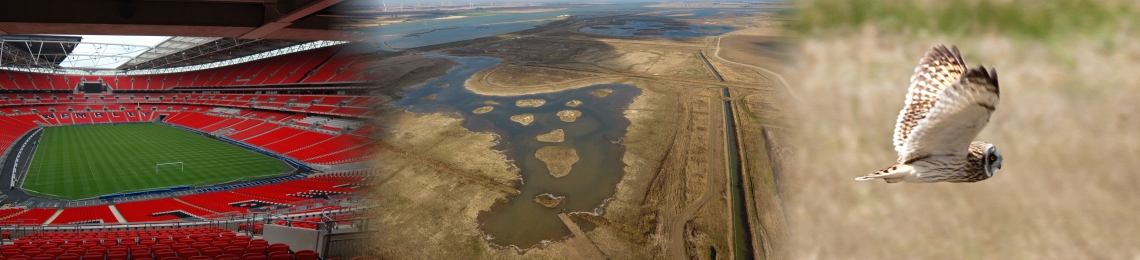 wallasea-collage (1)