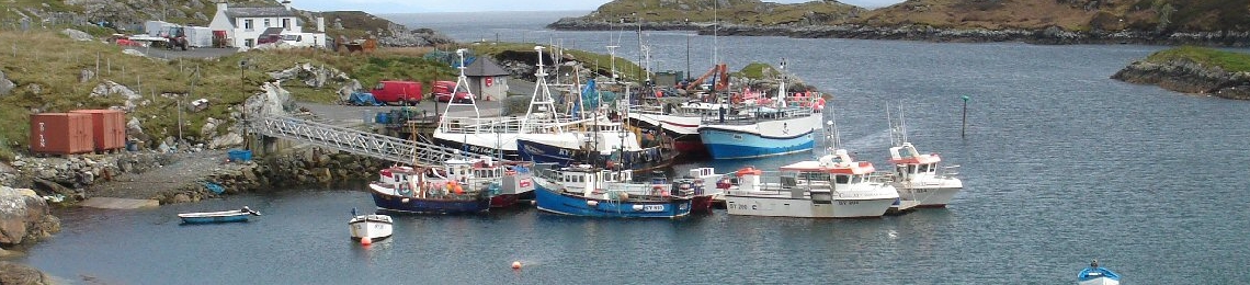 harbour (2)