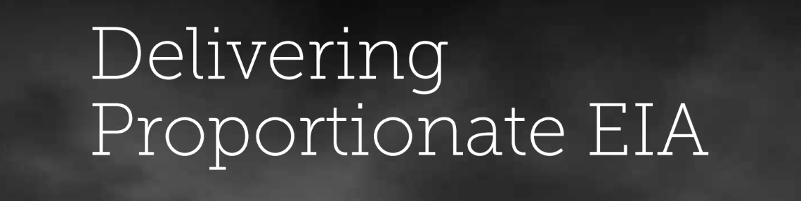 delivering-proportionate-eia-report-snippet (1)